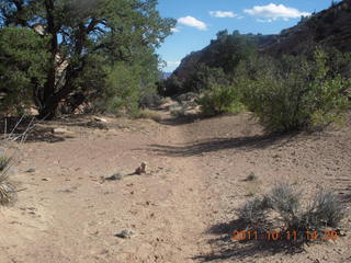 Canyonlands National Park - Lathrop trail hike