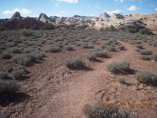 Canyonlands National Park - Lathrop trail hike