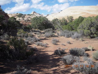 Canyonlands National Park - Lathrop trail hike