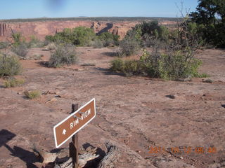 82 7qc. Dead Horse Point hike - Rim View