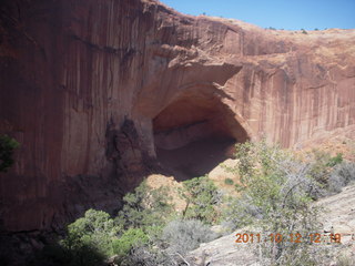 Canyonlands National Park - Alcove Springs