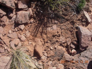 Canyonlands National Park - Alcove Springs