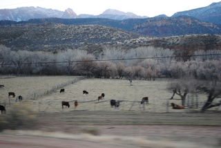 driving to zion