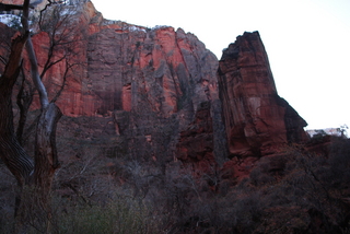 Zion National Park - pre-dawn Riverwalk