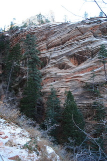 1732 7sf. Zion National Park - Hidden Canyon hike - Adam (very small)