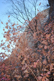 Zion National Park - Hidden Canyon hike