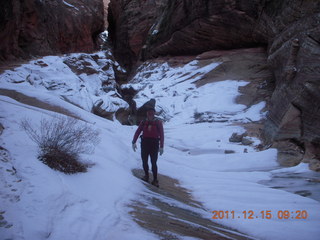 Zion National Park - Adam - Observation Point hike