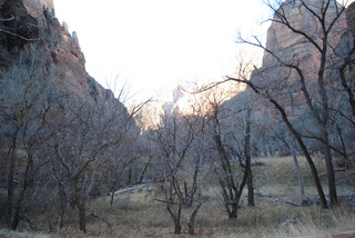 Zion National Park - Observation Point hike