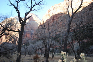 146 7sf. Zion National Park