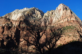 162 7sf. Zion National Park