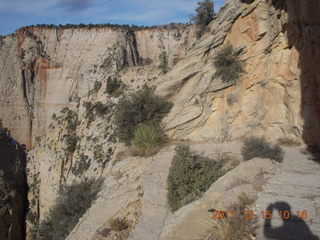 Zion National Park - Observation Point hike