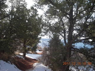 191 7sf. Zion National Park - Observation Point hike