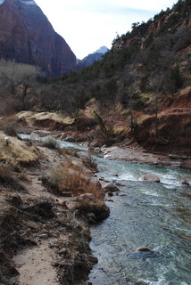 Zion National Park - bridge - Olga