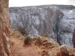 296 7sf. Zion National Park - Observation Point hike