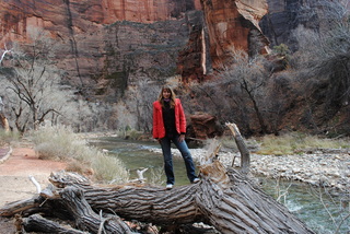 412 7sf. Zion National Park -  Virgin River - Olga