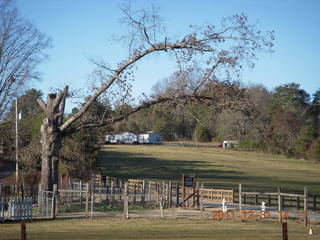 Deer Valley (DVT) tower between car and hangar