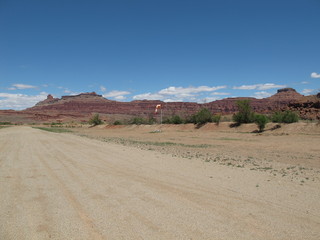 McDowell-Sonoran Challenge - spider
