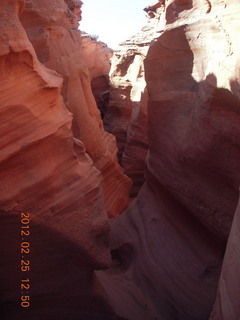 Rattlesnake Canyon