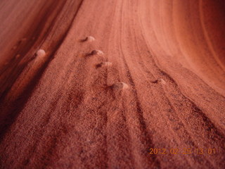 people at Rattlesnake Canyon