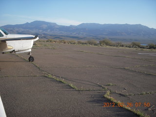 Grapevine fly-in
