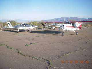 Grapevine fly-in
