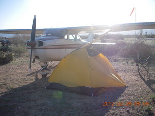 Grapevine fly-in