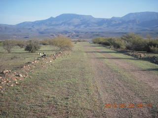 Grapevine fly-in