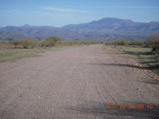 Grapevine fly-in run