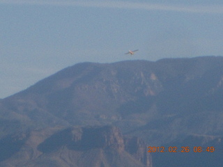 Grapevine fly-in run - STOP sign