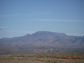 Grapevine fly-in run