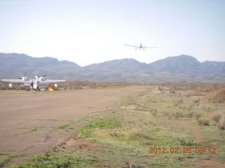 Grapevine fly-in run