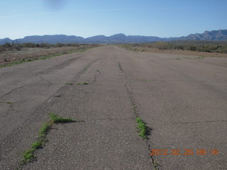 Grapevine fly-in run