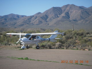 Grapevine fly-in