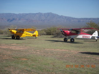 Grapevine fly-in