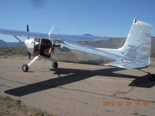 Grapevine fly-in