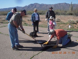 Grapevine fly-in - Cub