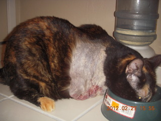 Maria after surgery