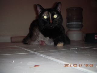 Maria after surgery