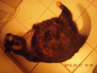 Maria after surgery