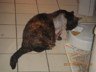 Maria's post-operation instructions