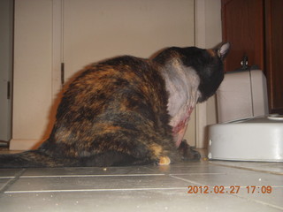 Maria after surgery