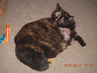 Maria after surgery