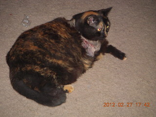 Maria after surgery