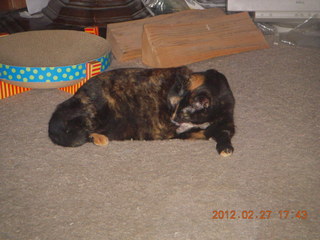 Maria after surgery
