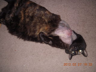 Maria after surgery