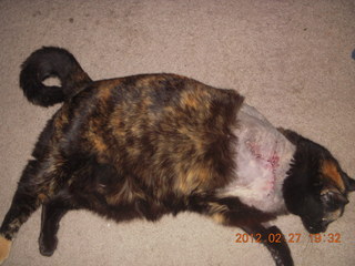 Maria after surgery