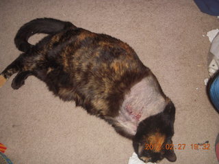 Maria after surgery