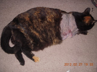 Maria after surgery