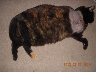 Maria after surgery