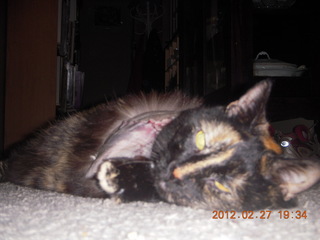 Maria after surgery